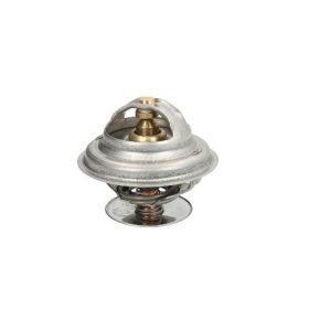 Termosztát ( Alternatív )