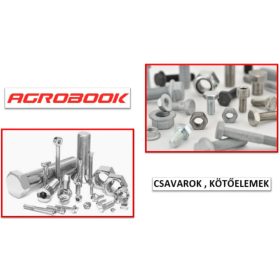 Csavar (HFTM) (M12*30) (10.9)