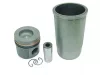 Teljes dugattyúkészlet 75790093960 alternatív traktor motor