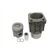 Teljes dugattyúkészlet 75793741961 alternatív traktor motor
