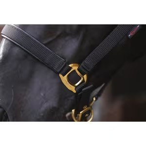 Topline kötőfék, fekete, Pony