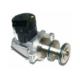 EGR-szelep