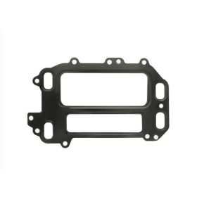 EGR szelep tömítés