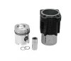 Teljes dugattyúkészlet 75792815961 alternatív traktor motor
