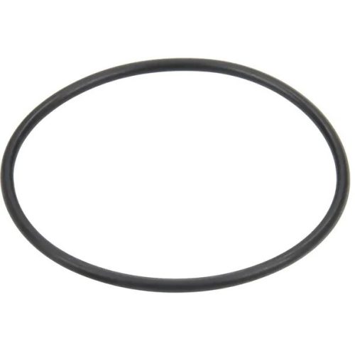 462200040 Tömítés szűrőbetéthez, Arag