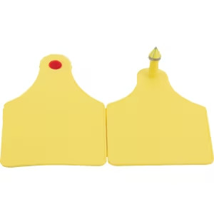 D típusú füljelző, 25db