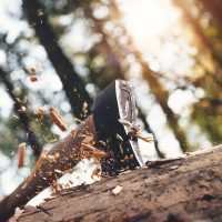 Erdészeti szerszámok