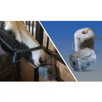 Táplálkozás-fiziológiai adalékanyagok