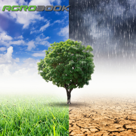 10 jel, hogy itt az idő automata kormányzásra váltani – Miért most a legjobb beruházni a Terranav-ra