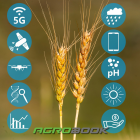 Top 5 technológia, ami forradalmasítja a mezőgazdaságot